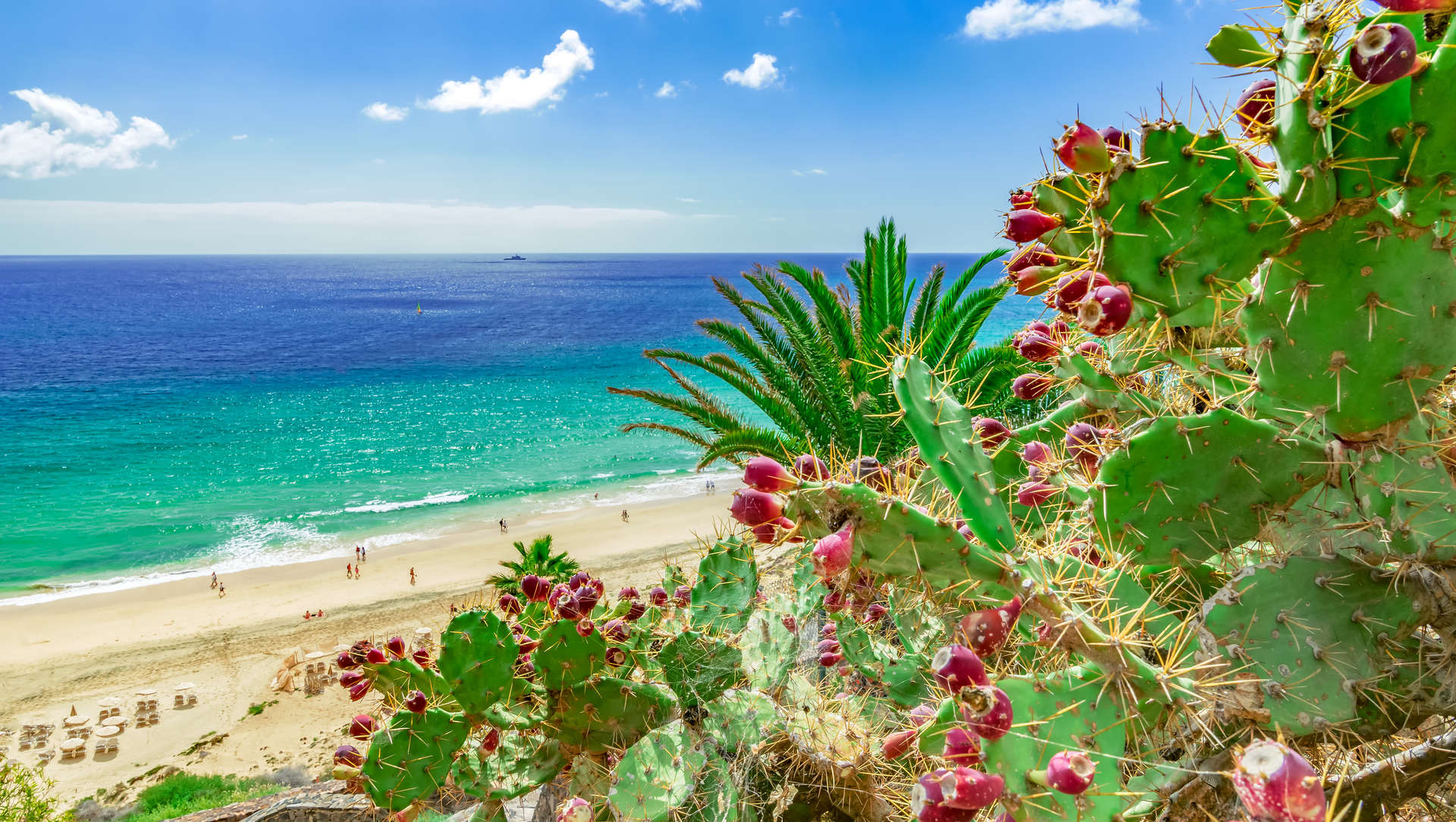 Golf Fuerteventura